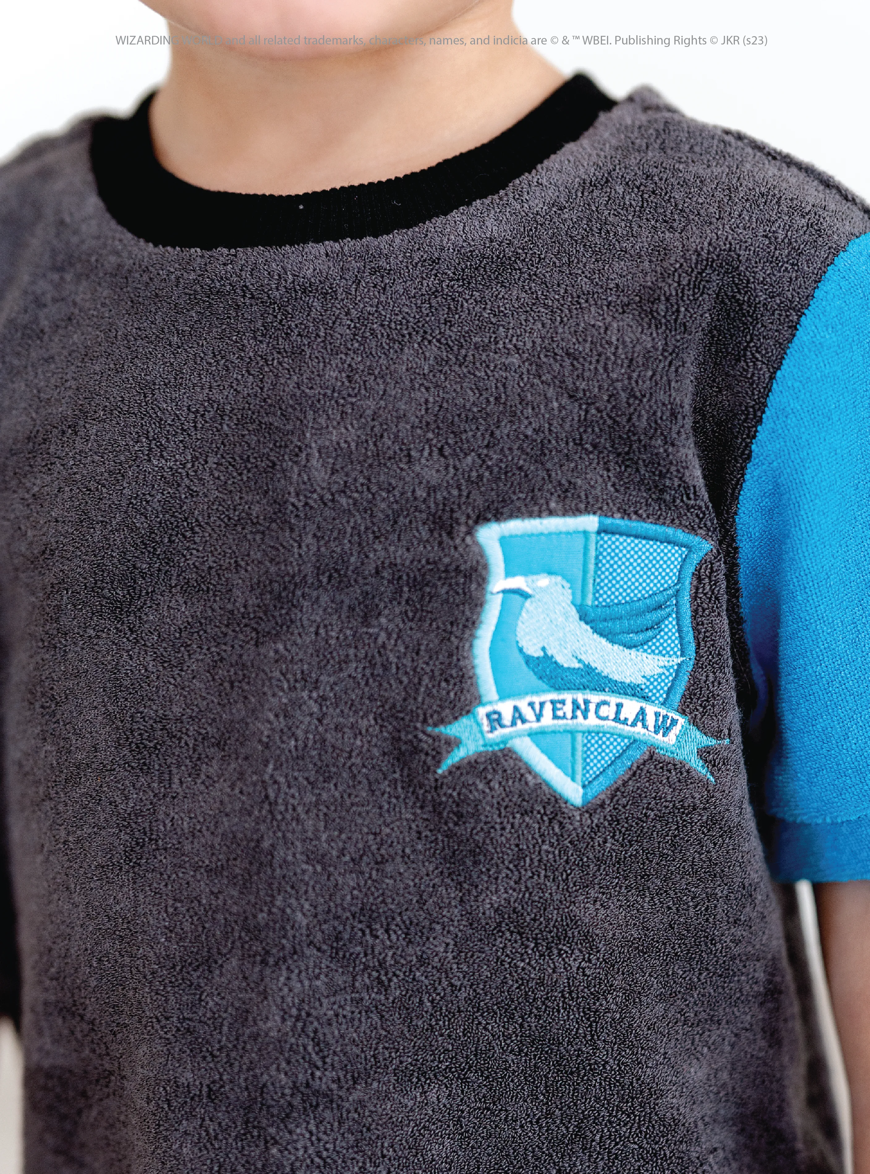 Ravenclaw™ House Tee